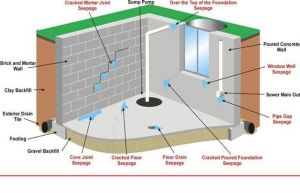 Dịch vụ chống thấm tại TP HCM