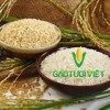gao-tuoi-cam-tuoi - ảnh nhỏ 3