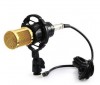 micro-livestream-thu-am-tot-nhat-bm-800 - ảnh nhỏ  1